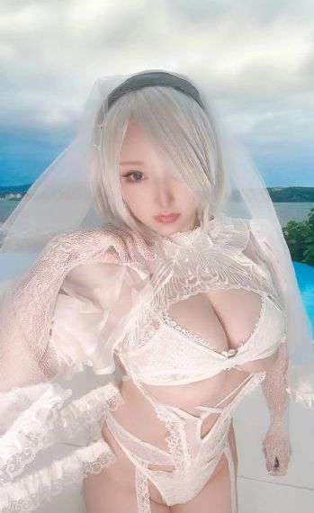 电视剧战狼战狼第50集_DVD免费观看最新